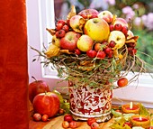Arrangement of apples and ornamental apples