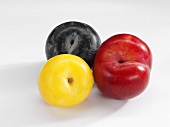 Three plums (yellow, red and black)