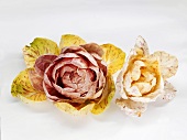 Two types of radicchio