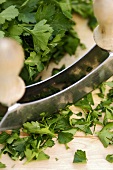 Chopping flat leaf parsley with a mezzaluna