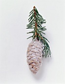 Christmas decoration: sugar-coated cone