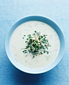 Creamy cheese soup with herbs