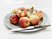 Äpfel mit Messer und Apfelputzen auf Teller