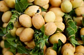 Maprang (also known as gandaria and plum mango)