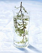 A glass of water with herbs