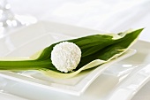 Green leaf and coconut truffle on white plate