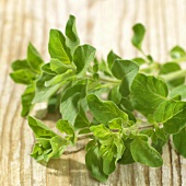 Fresh oregano on wooden background