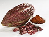 Cacao fruit pod with cocoa beans and cocoa powder