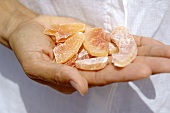 Hand hält getrocknete Mangostücke