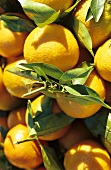 Oranges with leaves