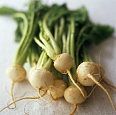White turnips