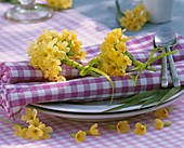 Place-setting with napkin and small posies of cowslips