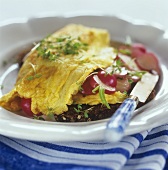 Wholemeal bread topped with omelette and radishes