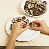 Taking mussel meat out of the shell