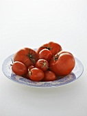 Various types of tomatoes on plate