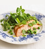Salmon fillet with peas and mint
