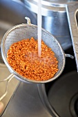 Washing red lentils in a sieve