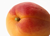 Eine Aprikose (Nahaufnahme)