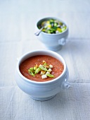 Gazpacho