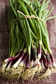A bunch of purple spring onions