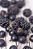 Schwarze Johannisbeeren und Brombeeren