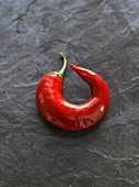One red chilli on slate background