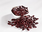 Red kidney beans in and beside small bowl