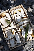 Fresh ceps in woodchip baskets