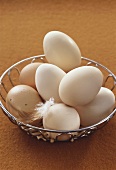 Fresh eggs in wire basket