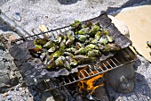 Shellfish on barbecue on beach