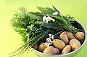 Fresh herbs and potatoes in a bowl