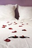 Rose petals on a bed