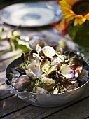 Cooked clams with herbs