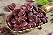 Red kidney beans in brass scoop