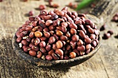 Azuki beans on wooden spoon