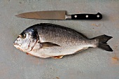 Whole sea bream with knife