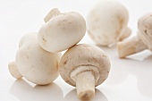 Several button mushrooms