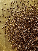 Coffee beans on gold background