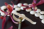 Orchid with wish list, string of beads