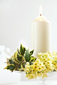 Candle with cowslips and holly leaves