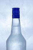 Vodka in icy bottle (detail)