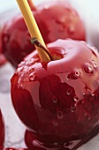 Toffee apples (close-up)