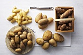 Still life with various varieties of potatoes