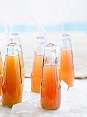 Fruit juice in bottles