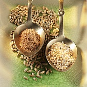 Oat bran and wheat bran in spoons