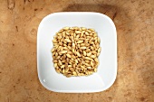 Naked barley in dish from above