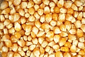 Corn kernels (popping corn, full-frame)
