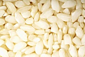 Arborio rice (full-frame)