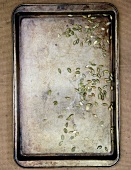 Pumpkin seeds on a baking tray