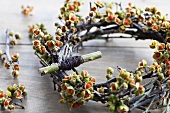 Wreath of staff vine berries